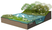 西安沣河 文教园段 湿地生态公园景观设计 GVL怡境国际集团